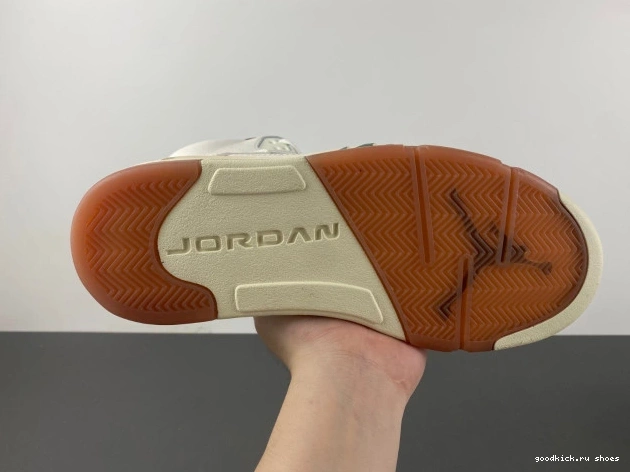 Rep El Air Jordan HF8833-100 5 Grito 0716